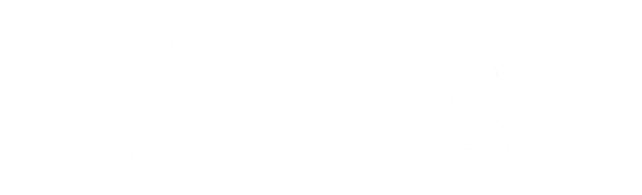 Logo for NaXiS